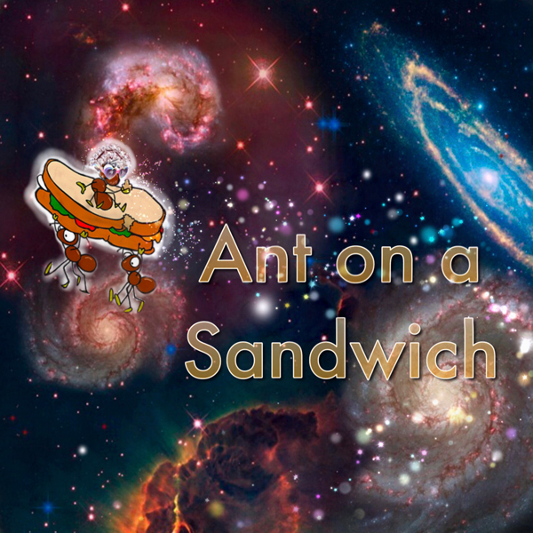 Ant on a Sandwich