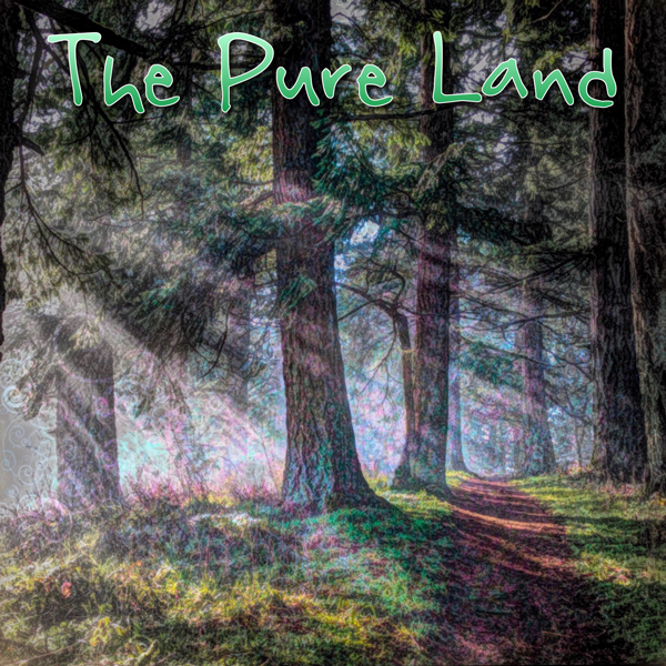 The Pure Land
